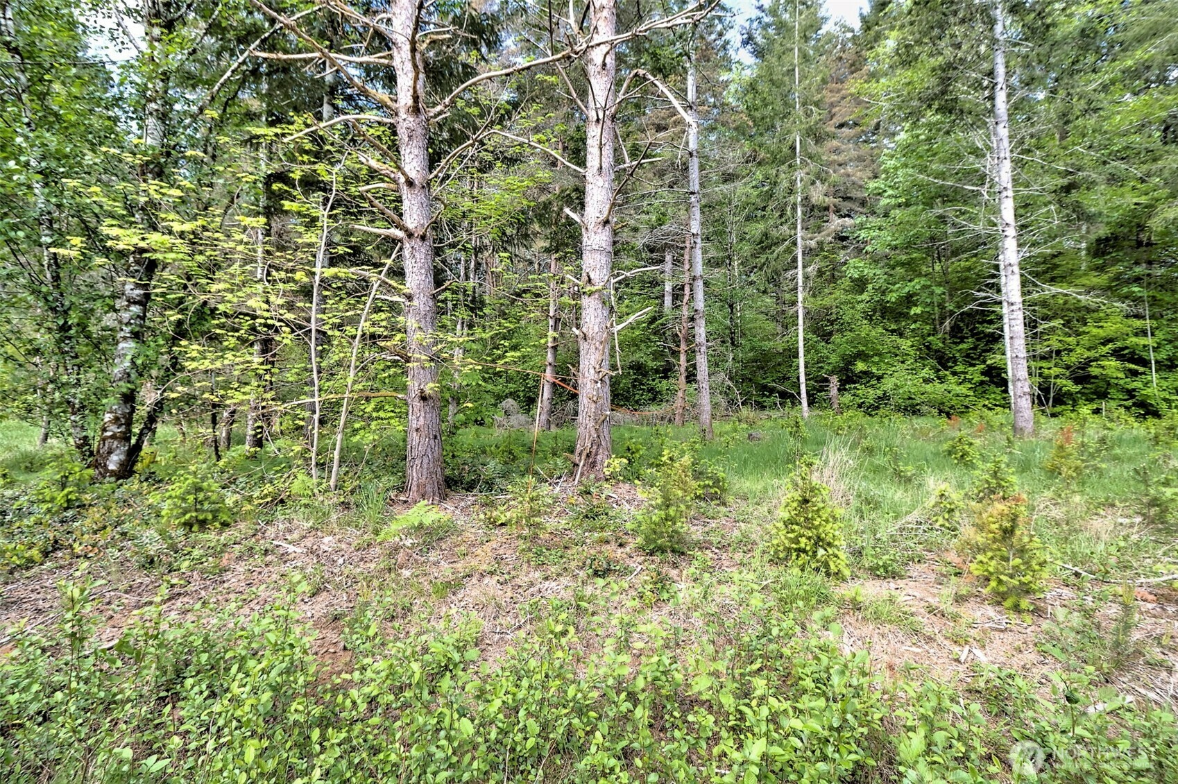 Property Photo:  0 NE Cheyanne Hill Drive  WA 98588 