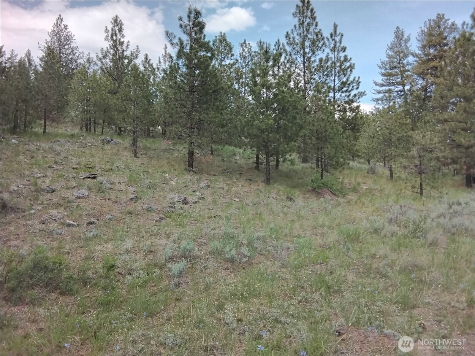 Property Photo: 0 Cape Labelle Road WA 98855