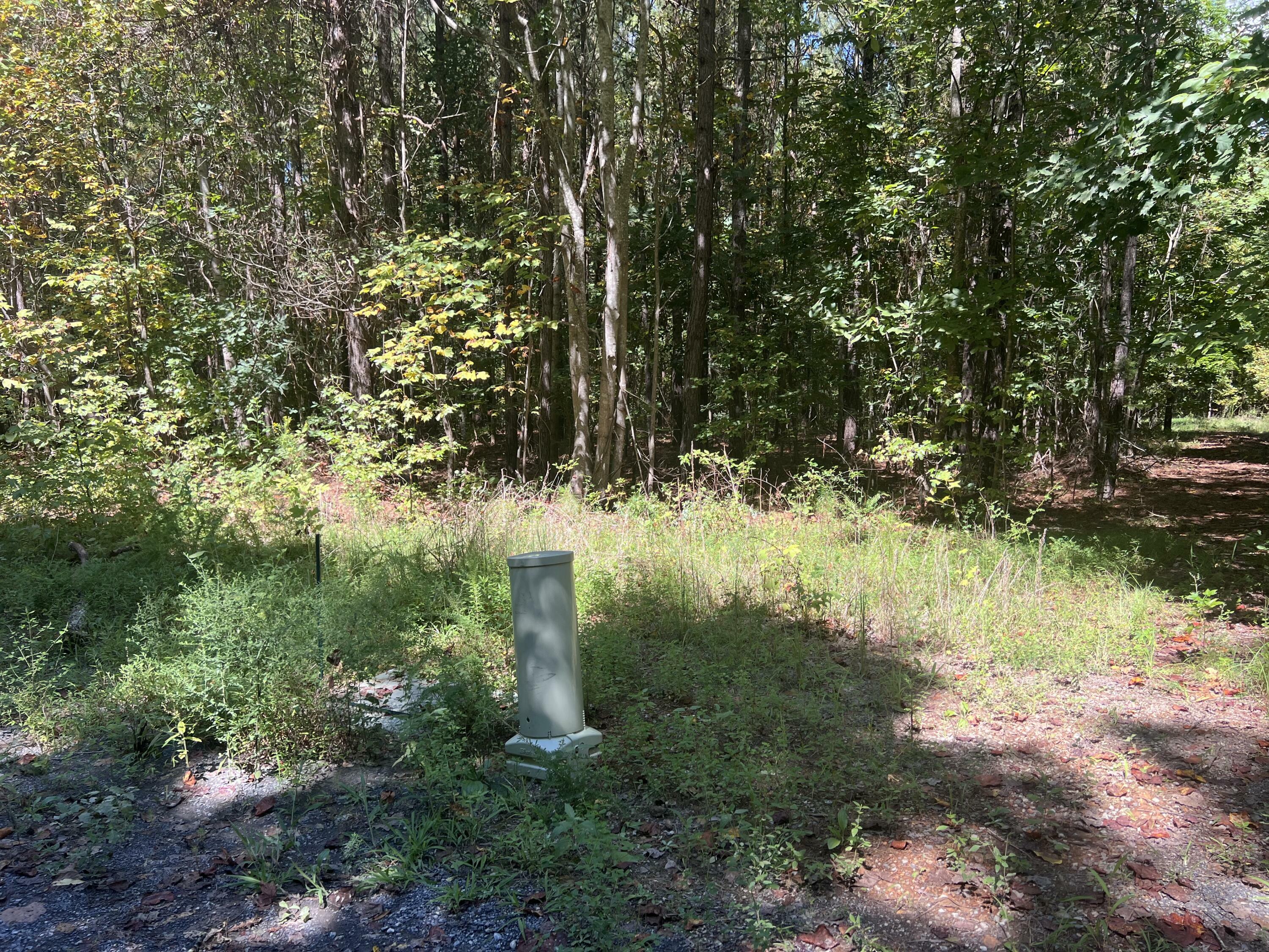 Property Photo: 00 Lower River Road TN 37322