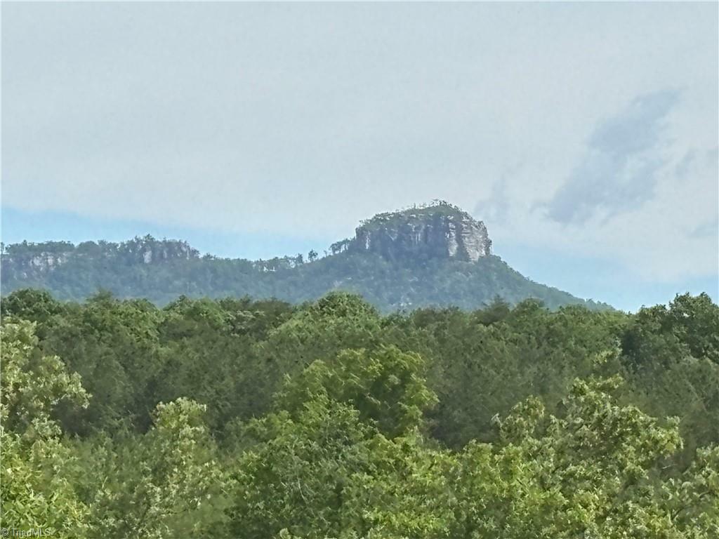 Property Photo: 00 Caudle Road NC 27043