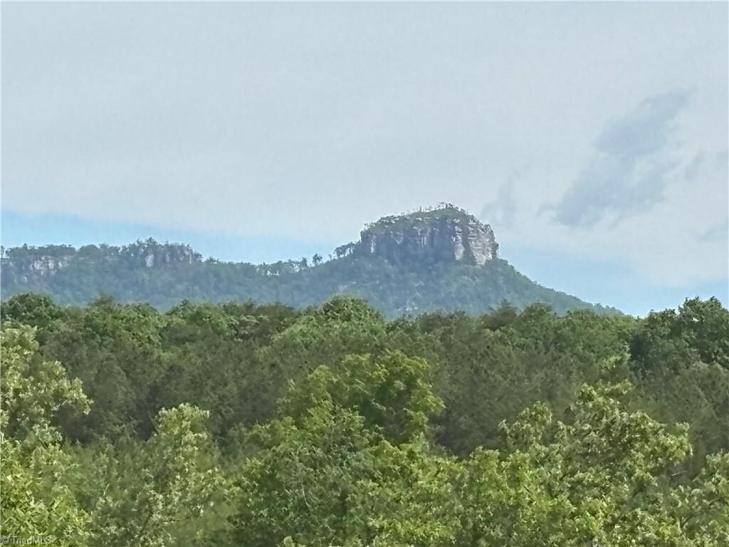 Property Photo:  00 Caudle Road  NC 27043 