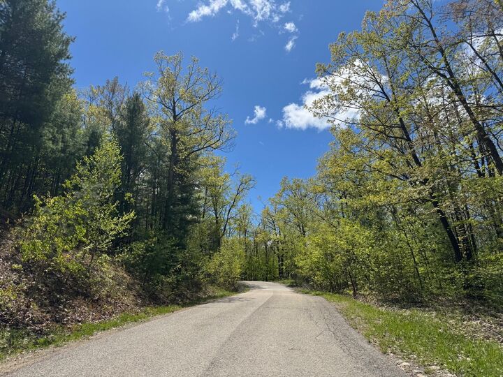 Property Photo: 000 Eastridge Drive MI 49735