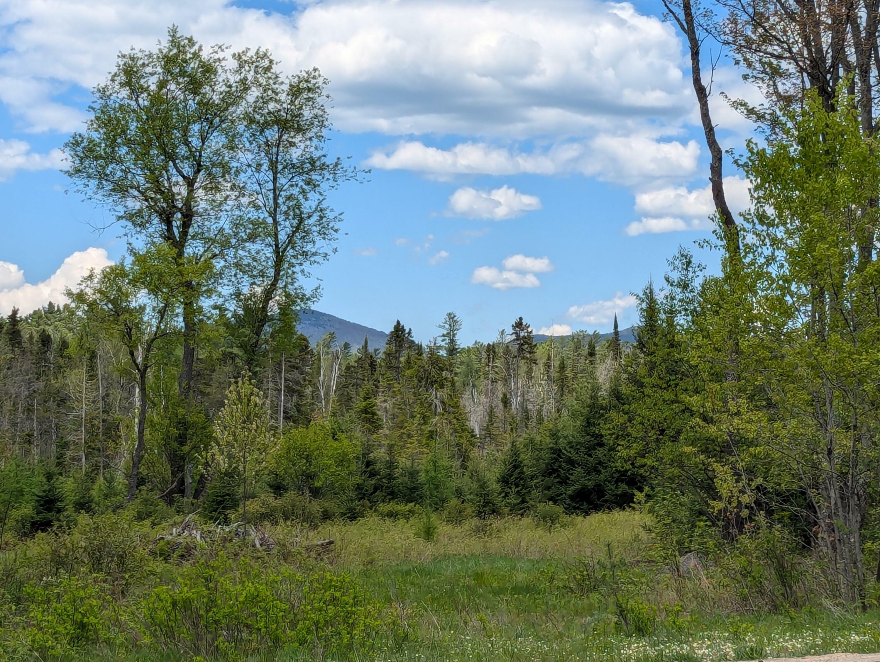 Property Photo: Lot #6 County Route 60 NY 12976