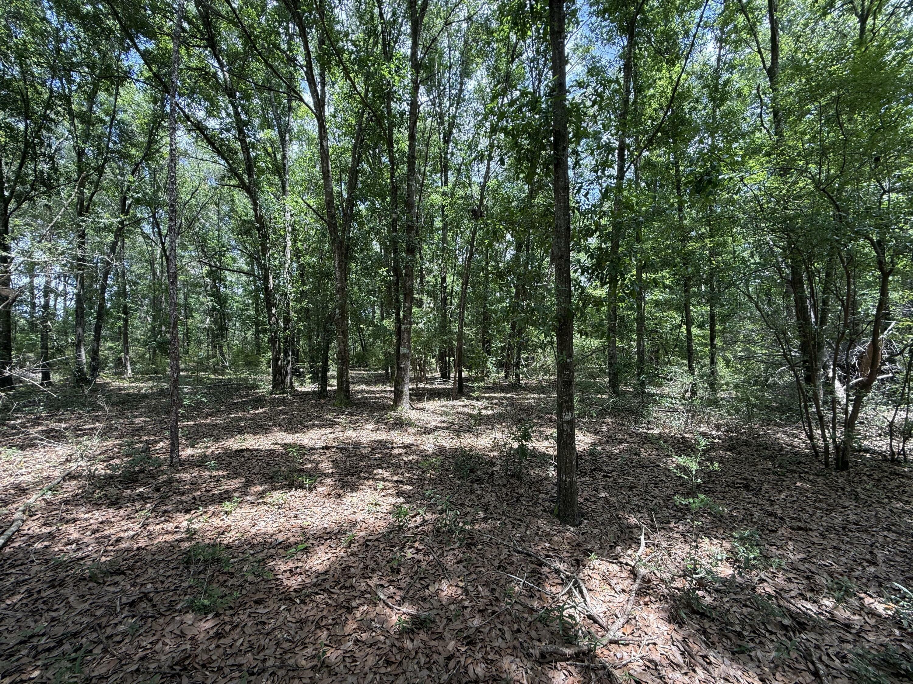 Property Photo: Tbd US-90 FL 32563