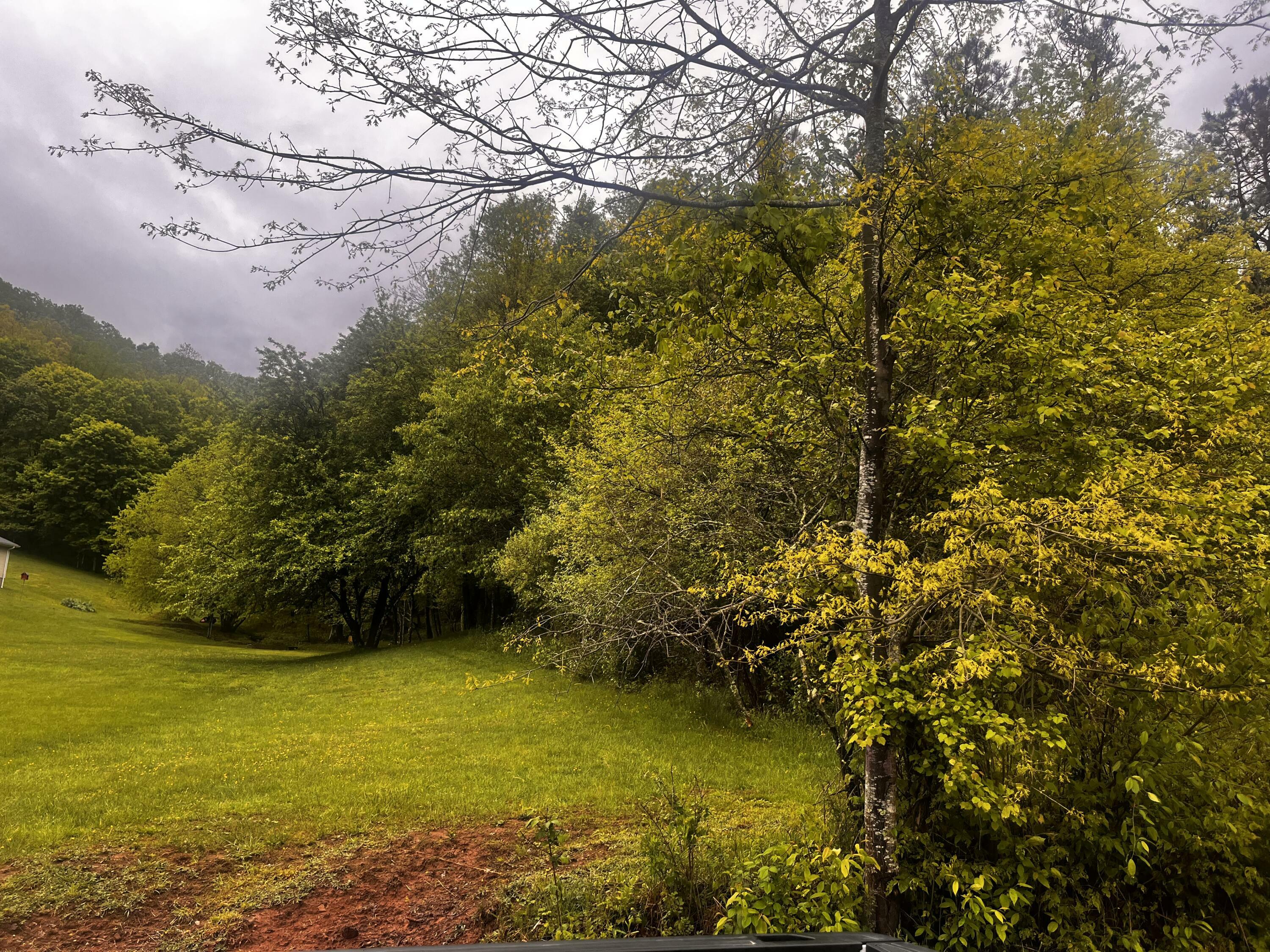 Property Photo:  323 Meadow Mountain Rd  WV 24931 