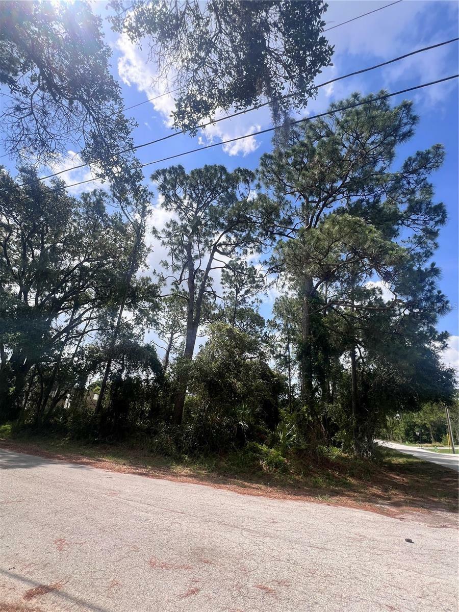 Property Photo:  4021 Simca Street  FL 33872 