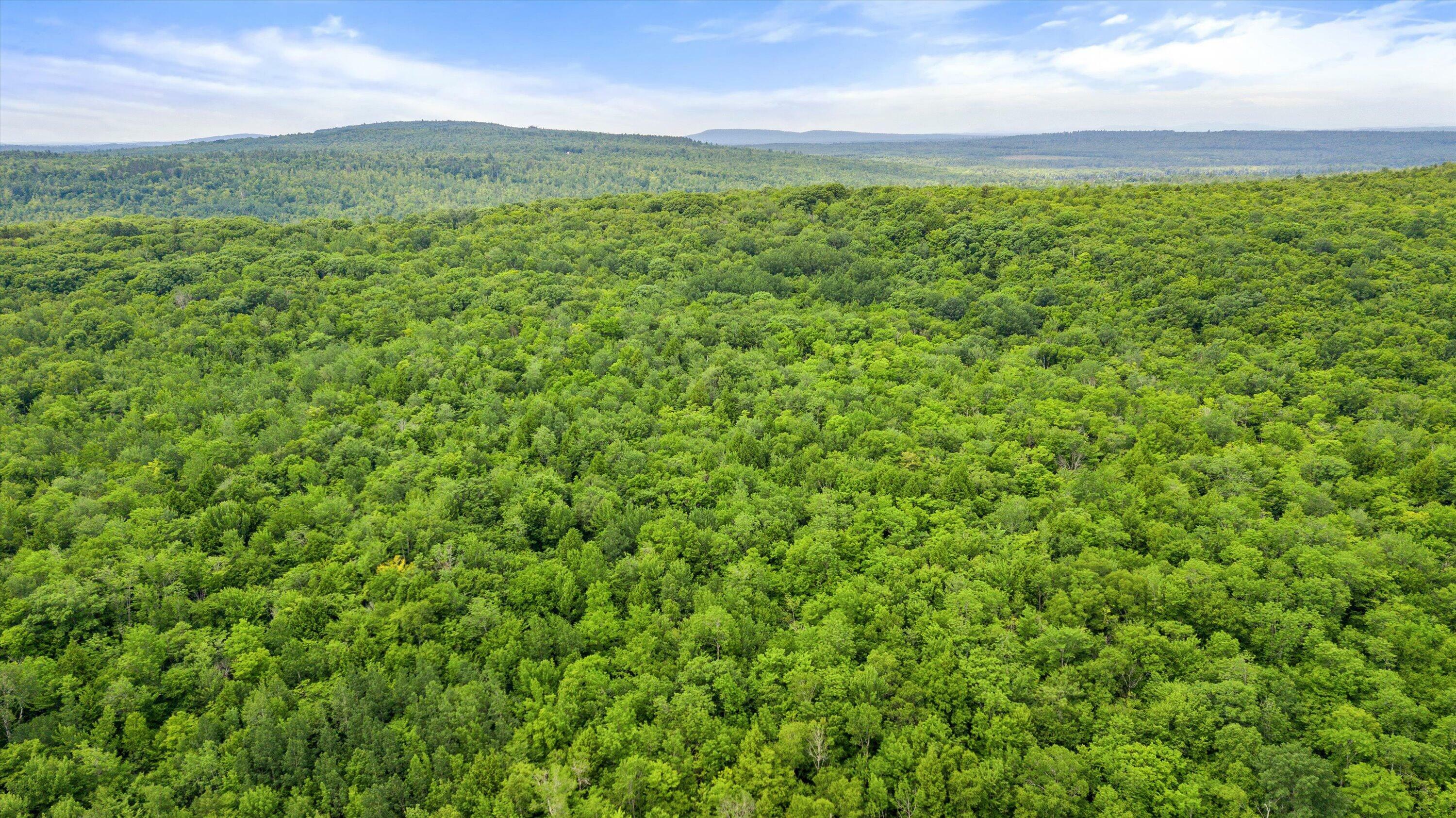 Property Photo: PO M23-L6 Great Moose Drive ME 04943