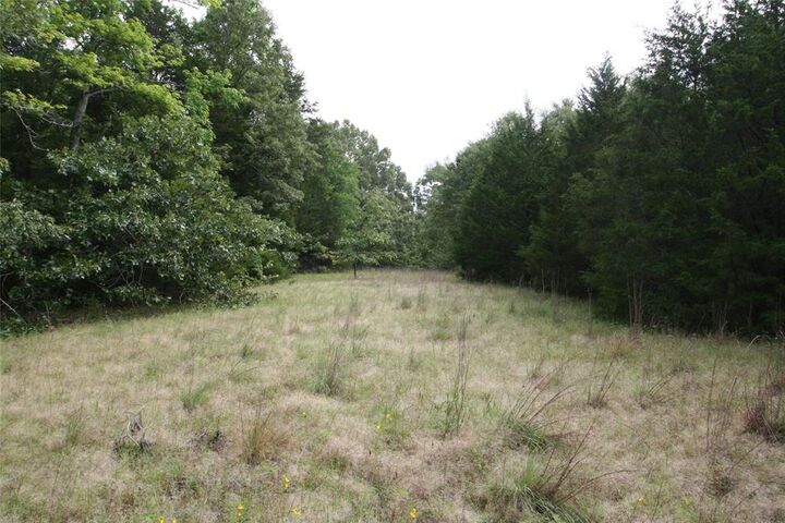Property Photo:  Tract 2 Tbd Vzcr 1507  TX 75140 