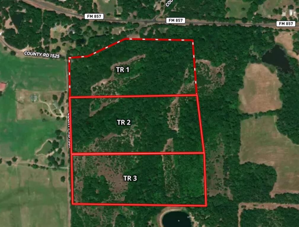 Property Photo:  Tract 1 Tbd Vzcr 1507  TX 75140 