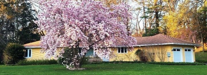 Property Photo:  330 Chapin Street  MA 01056 