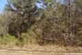 Property Photo:  10605 Allison Ave  FL 32145 