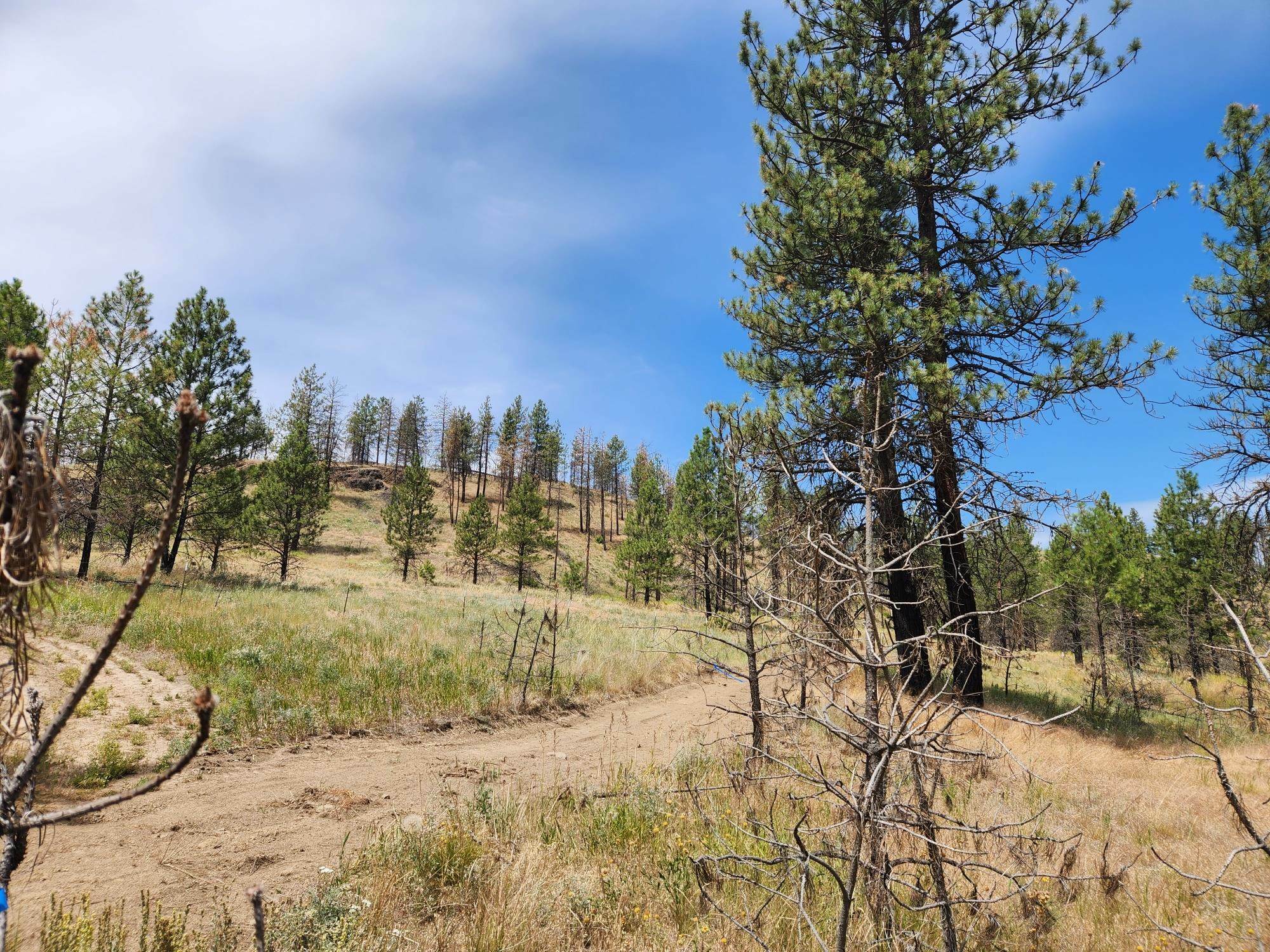 Property Photo: 31xyz Hawk Creek Ranch Rd WA 99122