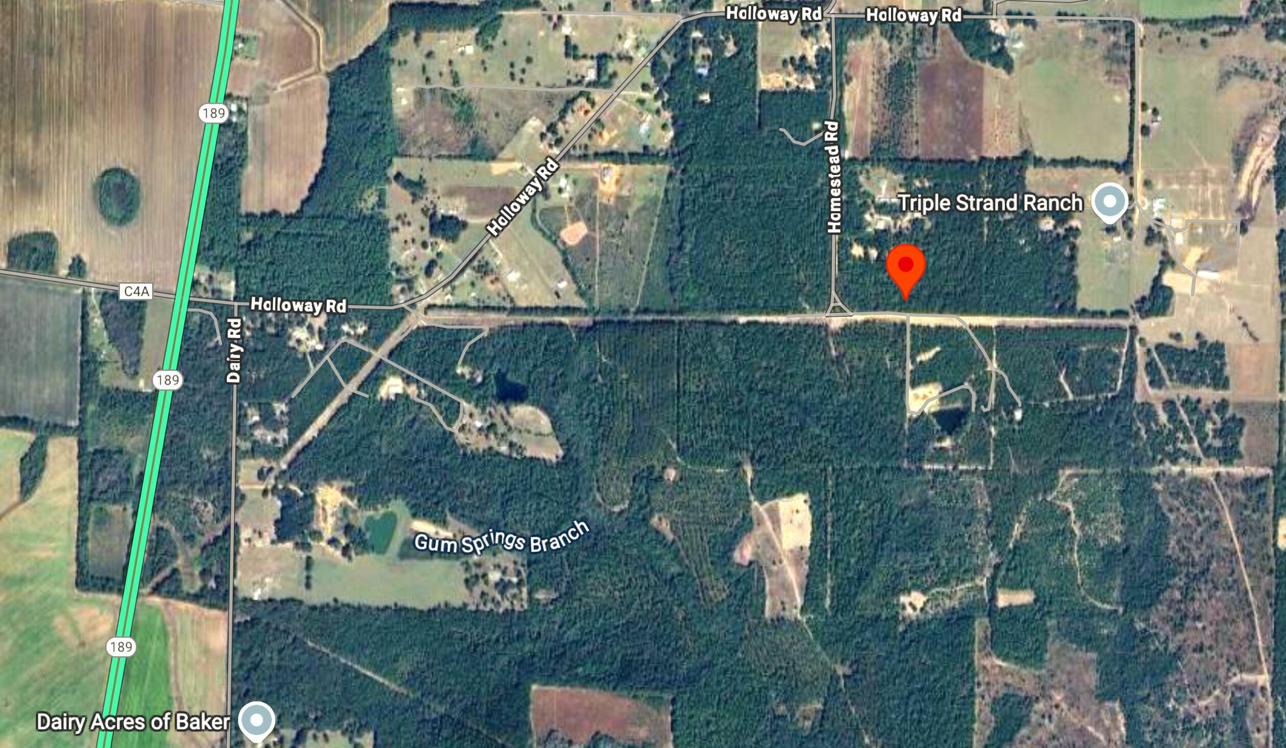 Property Photo: 0 Homestead Road FL 32531