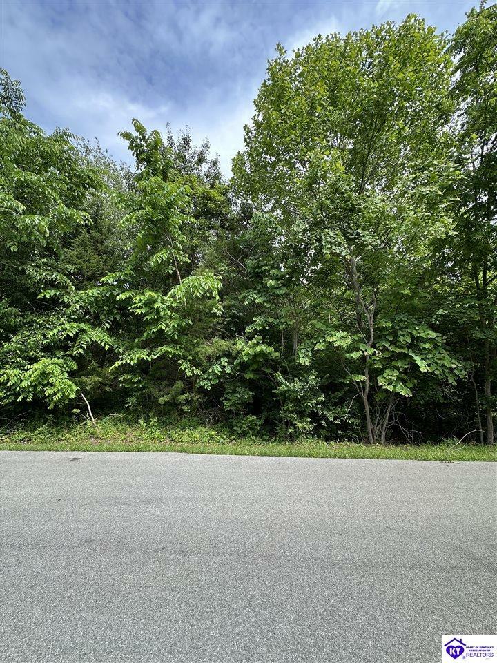 Property Photo: 0 Deer Run Way KY 42701