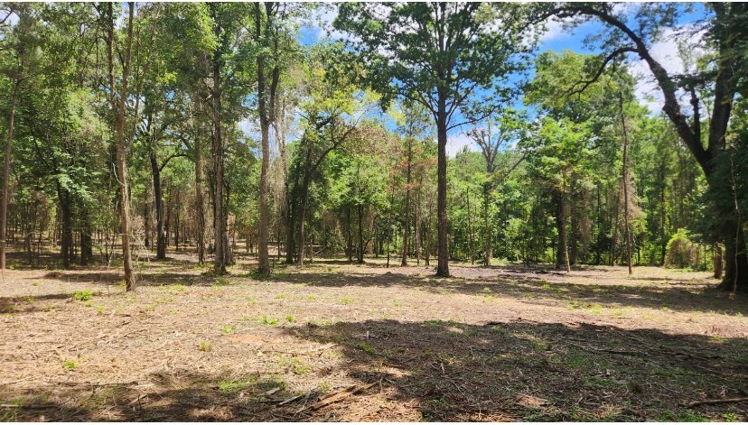 Property Photo: Tba-A Cr 3853 TX 75954