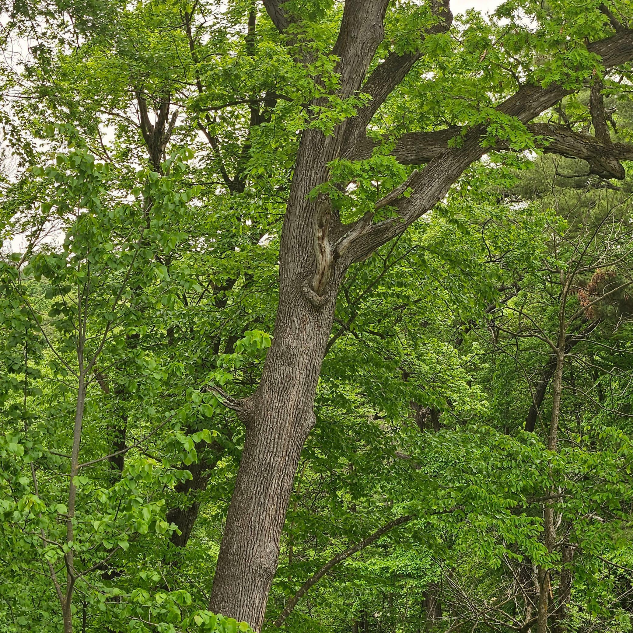Property Photo:  Tbd 330th Avenue  WI 54740 