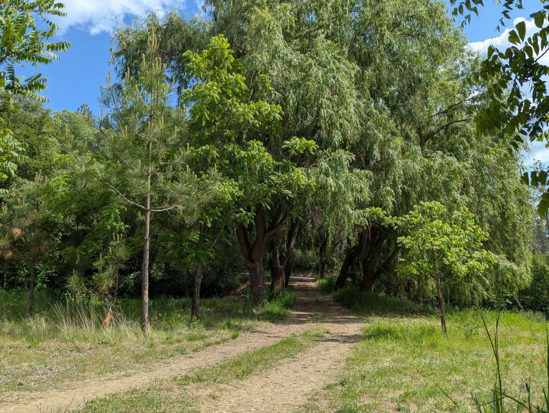 Property Photo: 29511 N Schwachtgen Rd WA 99003