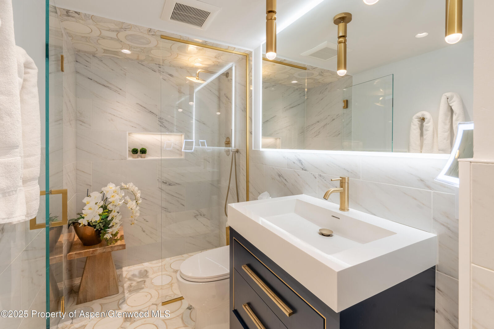 Property Photo:  617 E Cooper Avenue Unit 110  CO 81611 