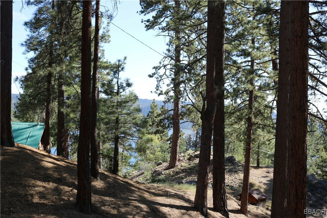 Property Photo: 372 Pine Hill Drive CA 92333
