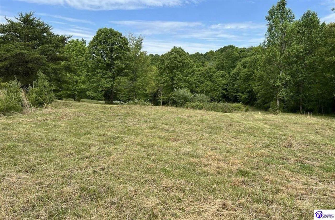 Property Photo: Lot 1 Constantine Road KY 42724