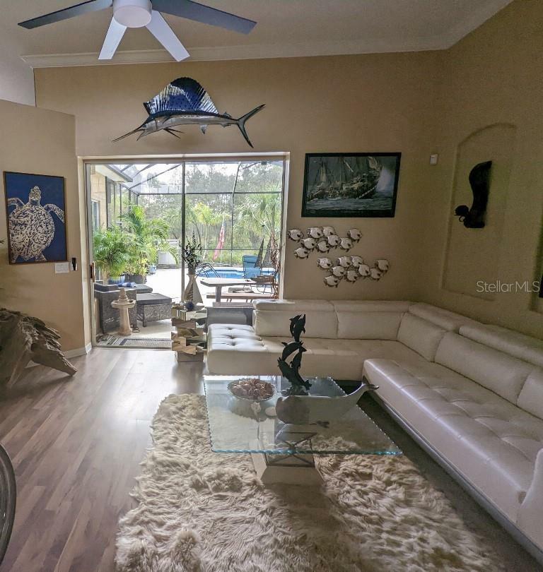 Property Photo: 10532 Cory Lake Drive FL 33647