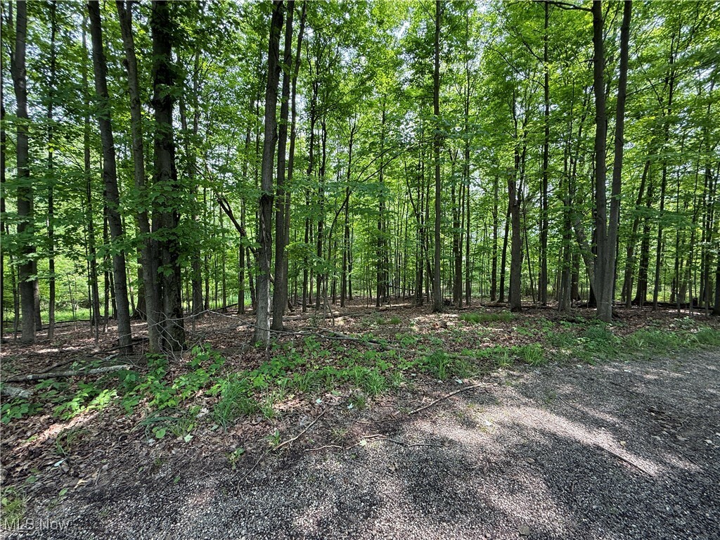Property Photo: Snode Street NE OH 44601