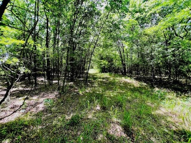 0 Fm-2297  Sulphur Springs TX 75482 photo