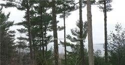 Property Photo:  126 Nippissing Ridge Road  ON L9M 0H6 