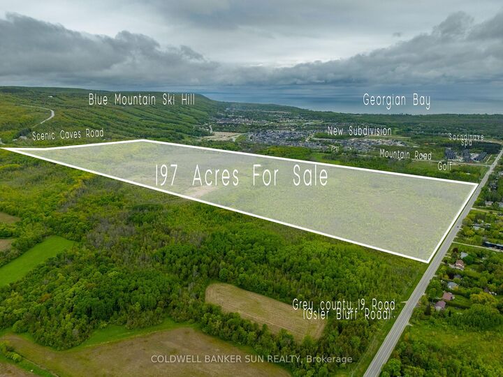 000 Grey County 19 Road  Blue Mountains ON L9Y 0N5 photo