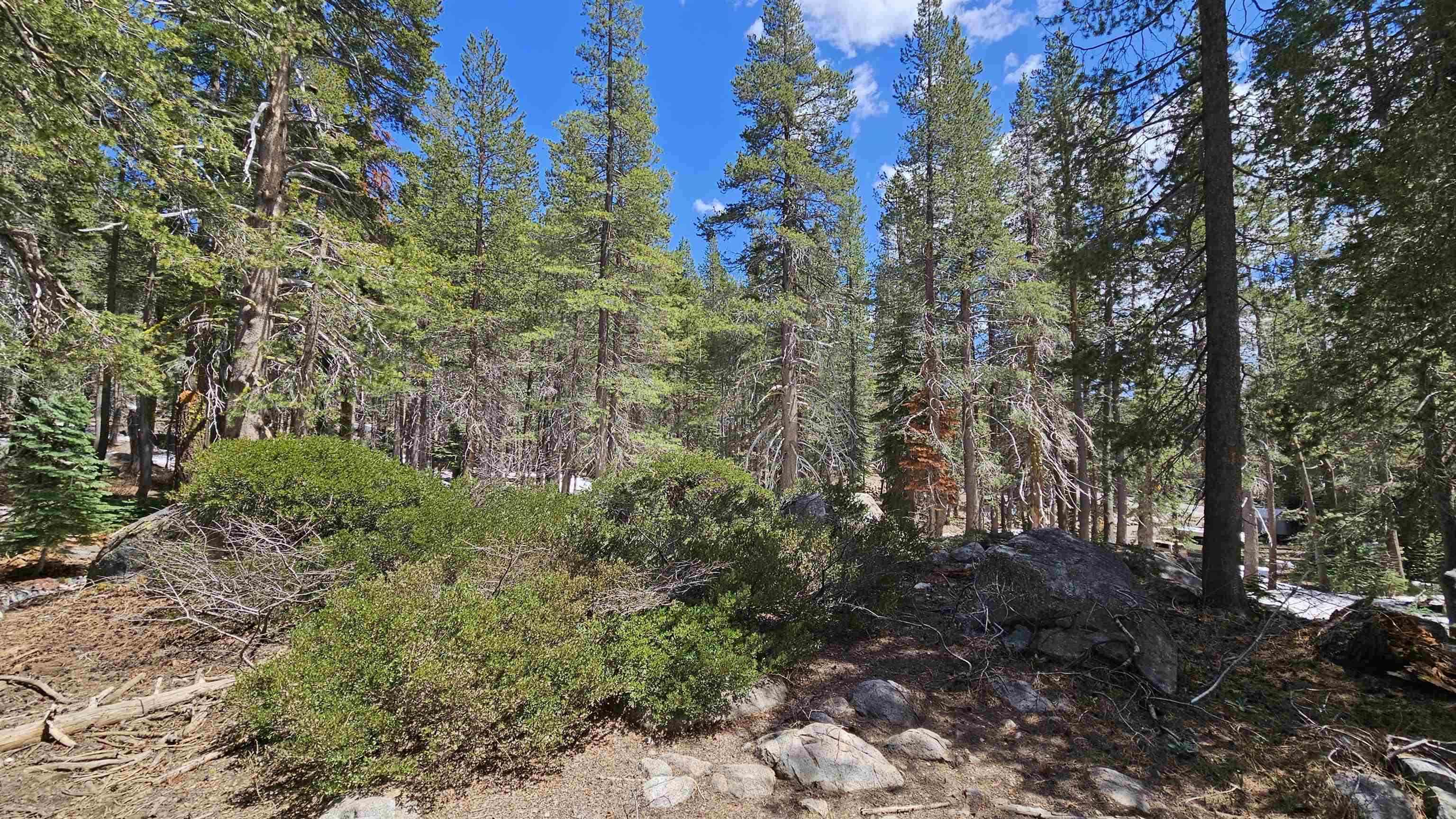 Property Photo: 10060 Bunny Hill Road CA 95728