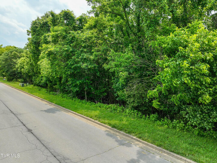 Property Photo:  614 Harbor Point Drive  TN 37615 