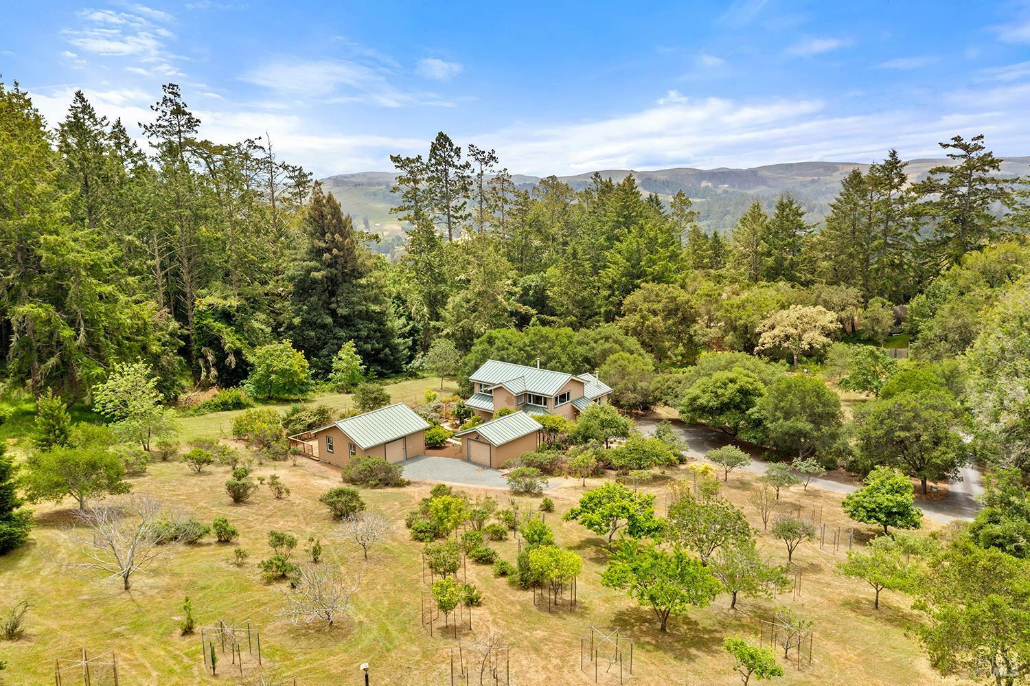 17010 Burl Lane  Occidental CA 95465 photo