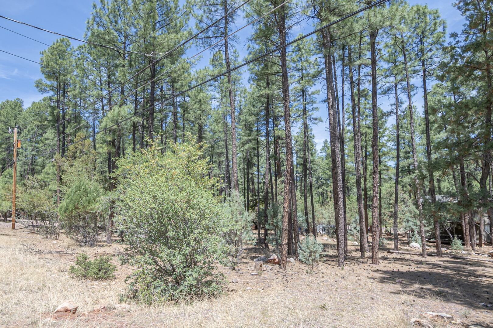 Property Photo: Lot 138 Marcy Way AZ 85544