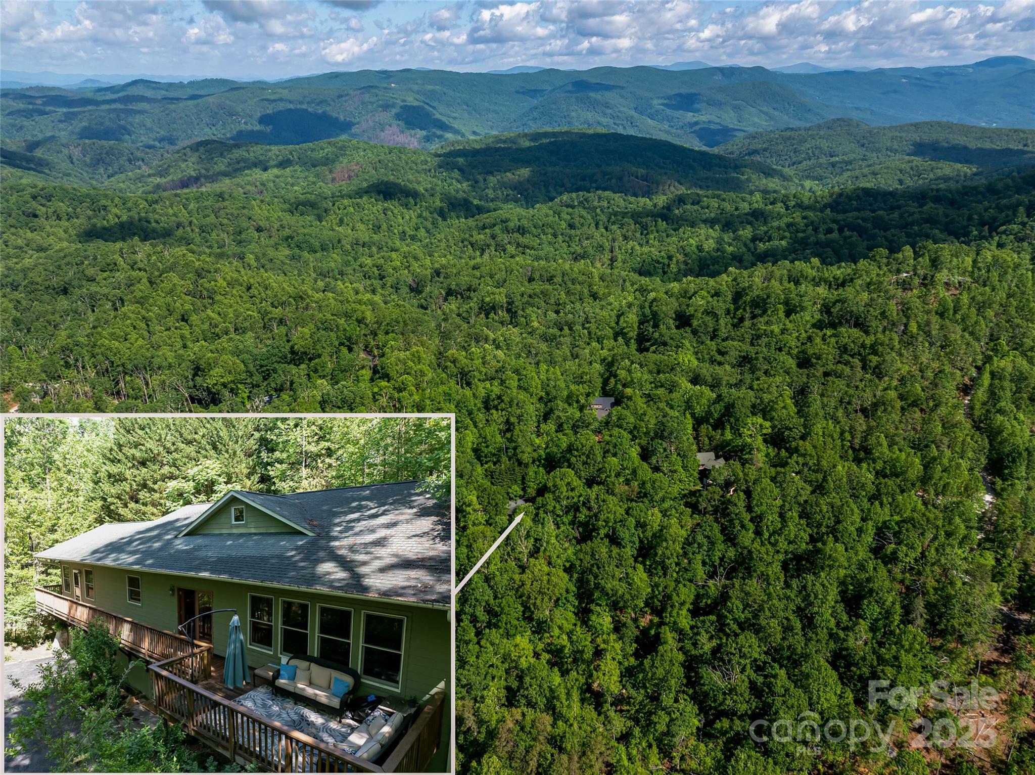 Property Photo: 75 Cougar Lane NC 28773