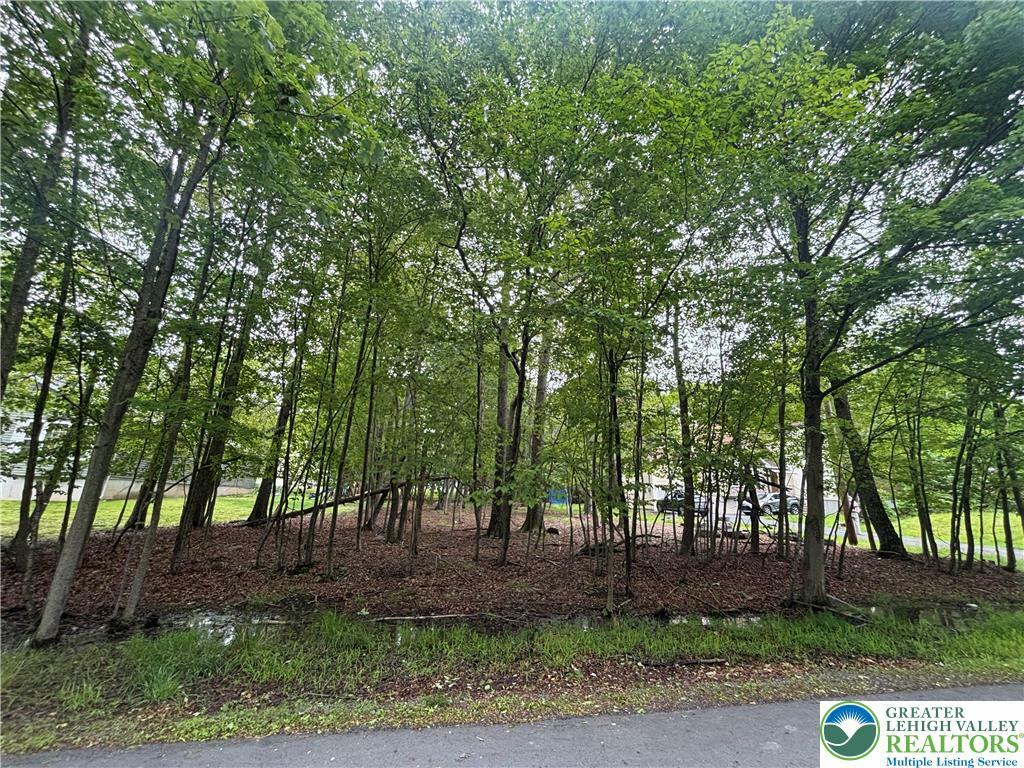 135 Heather Hill Road  Pike PA 18328 photo