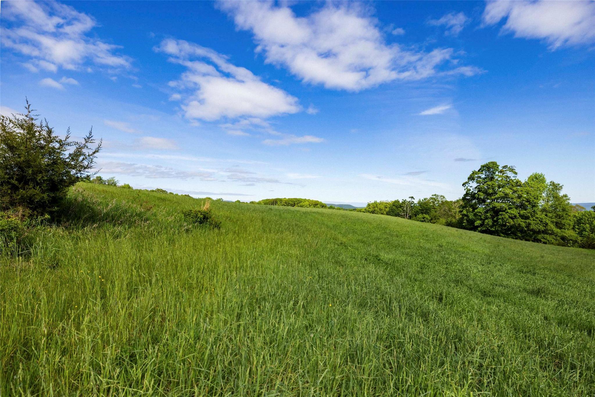Property Photo:  15 Red Rock Road  NY 12489 
