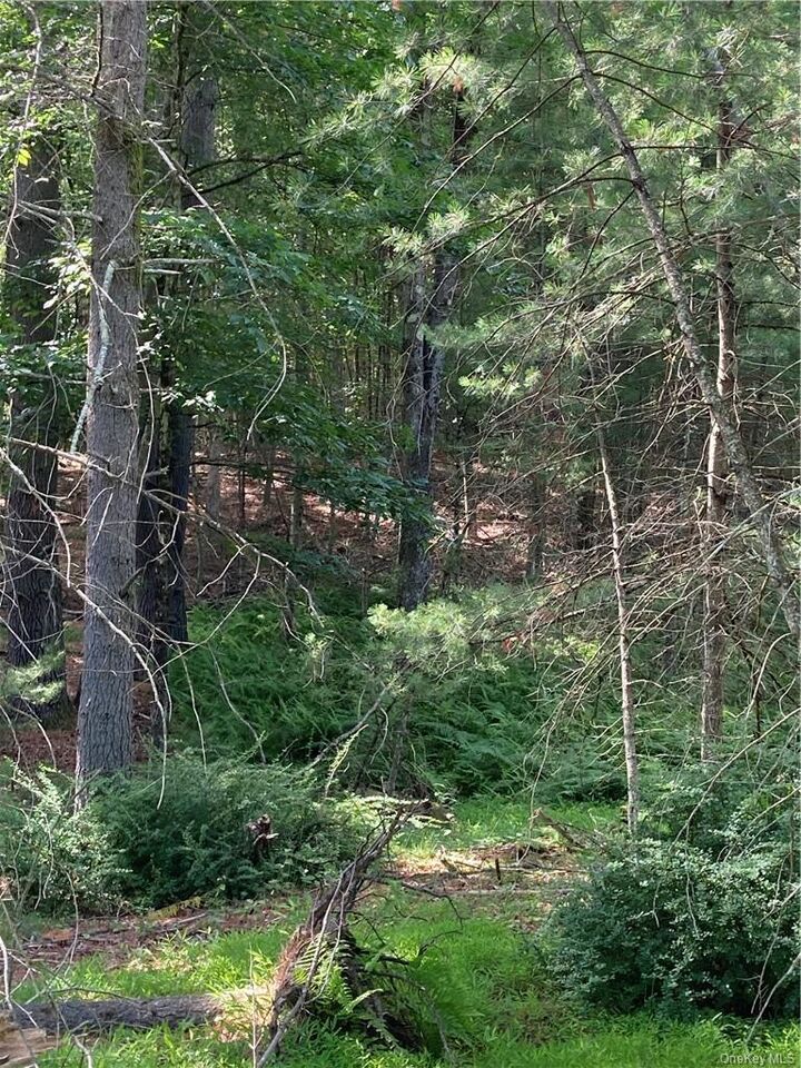 Irishtown Road  Narrowsburg NY 12764 photo