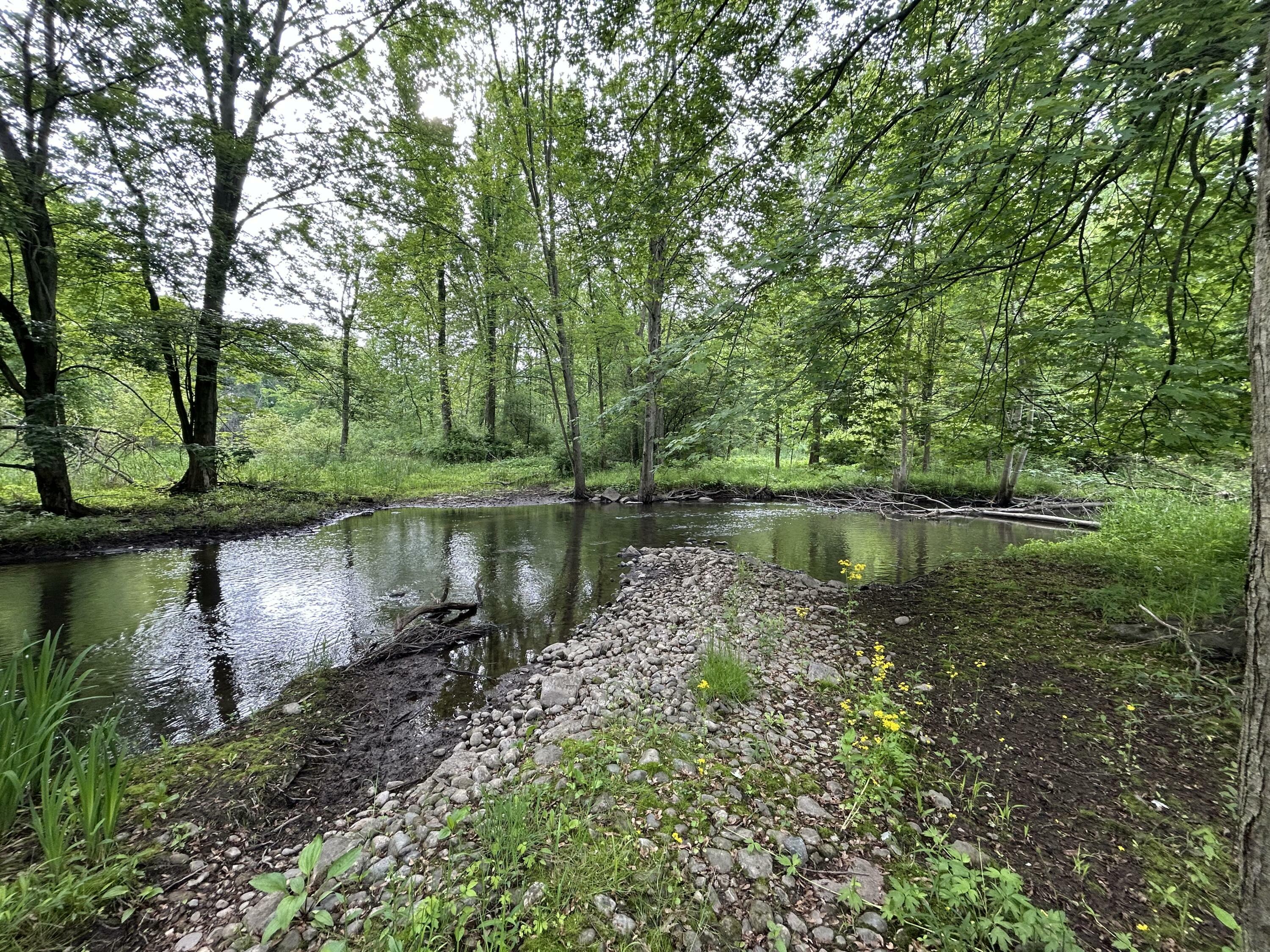 Property Photo:  1687 Dimmers Road  MI 49274 