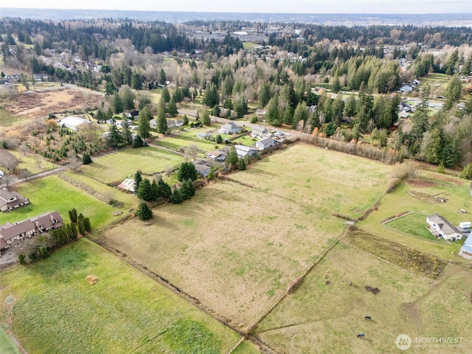 10  110th Avenue E  Edgewood WA 98372 photo