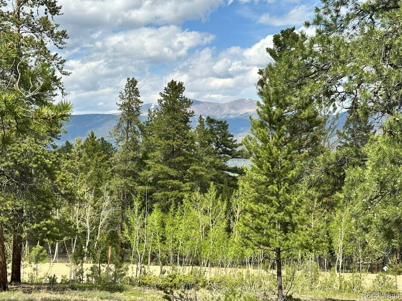 Property Photo: 30385 National Forest Drive CO 81211
