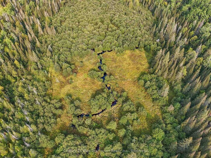 Property Photo:  356 Hunt Line  ON P0H 1Z0 