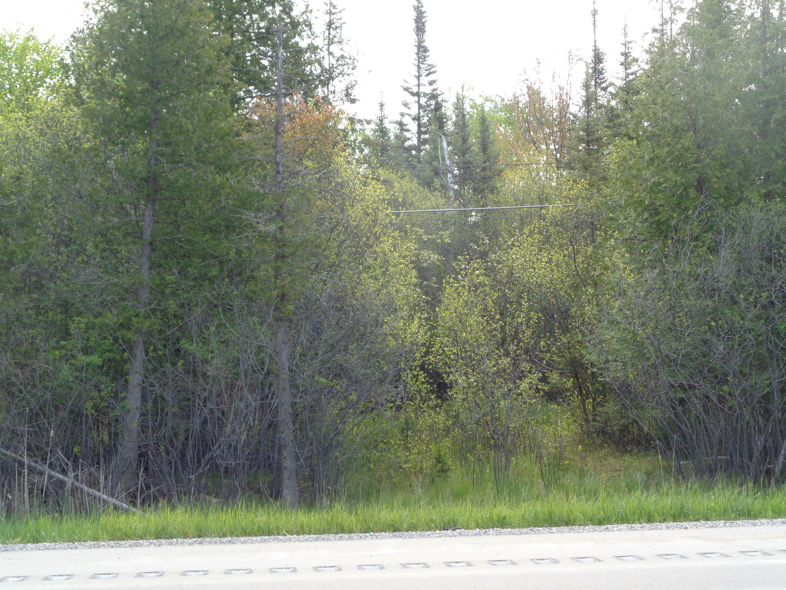 Property Photo:  US 23 South  MI 49707 