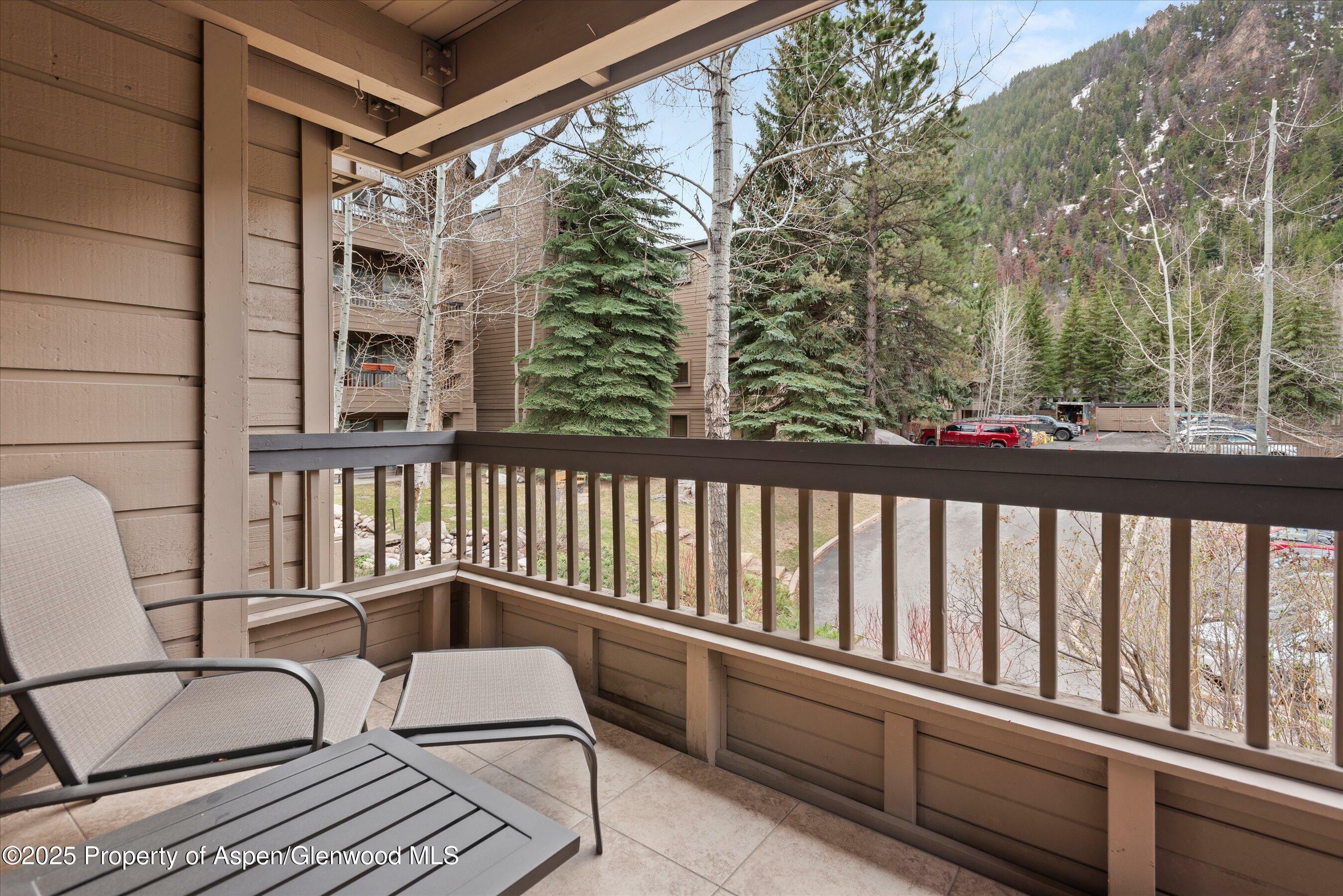 Property Photo: 610 S West End Street D203 CO 81611