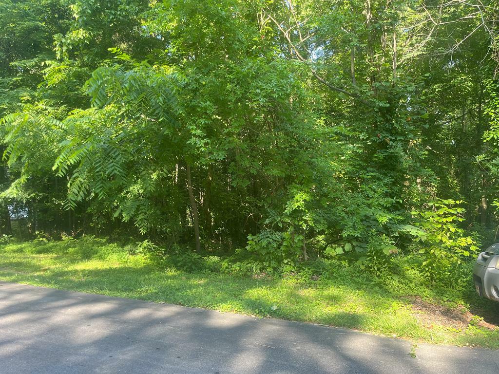 Property Photo: 00 Battleline Drive GA 30740