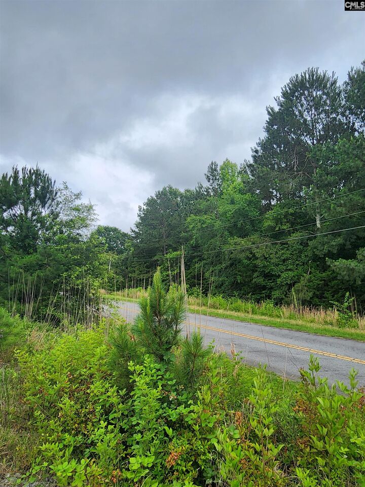 0 Elm  Prosperity SC 29127 photo