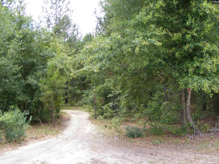 Property Photo: 412 Sells SC 29123-0000