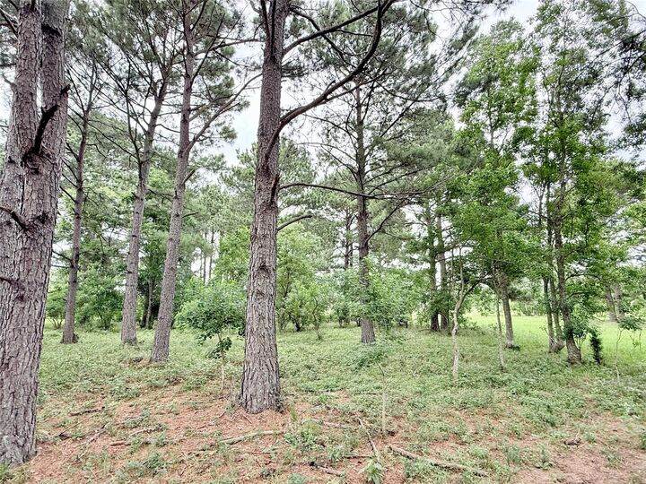 Property Photo:  0 Binford Road Road  TX 77484