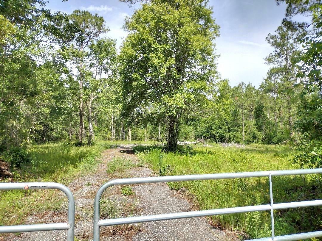Property Photo: 1760 Berrybush Street FL 32110