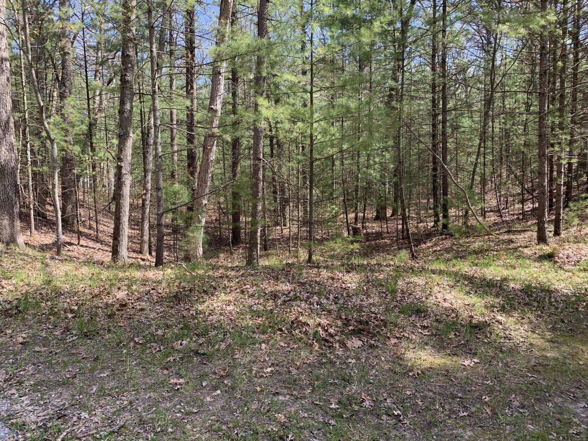 Property Photo: Lenox Avenue MI 49449