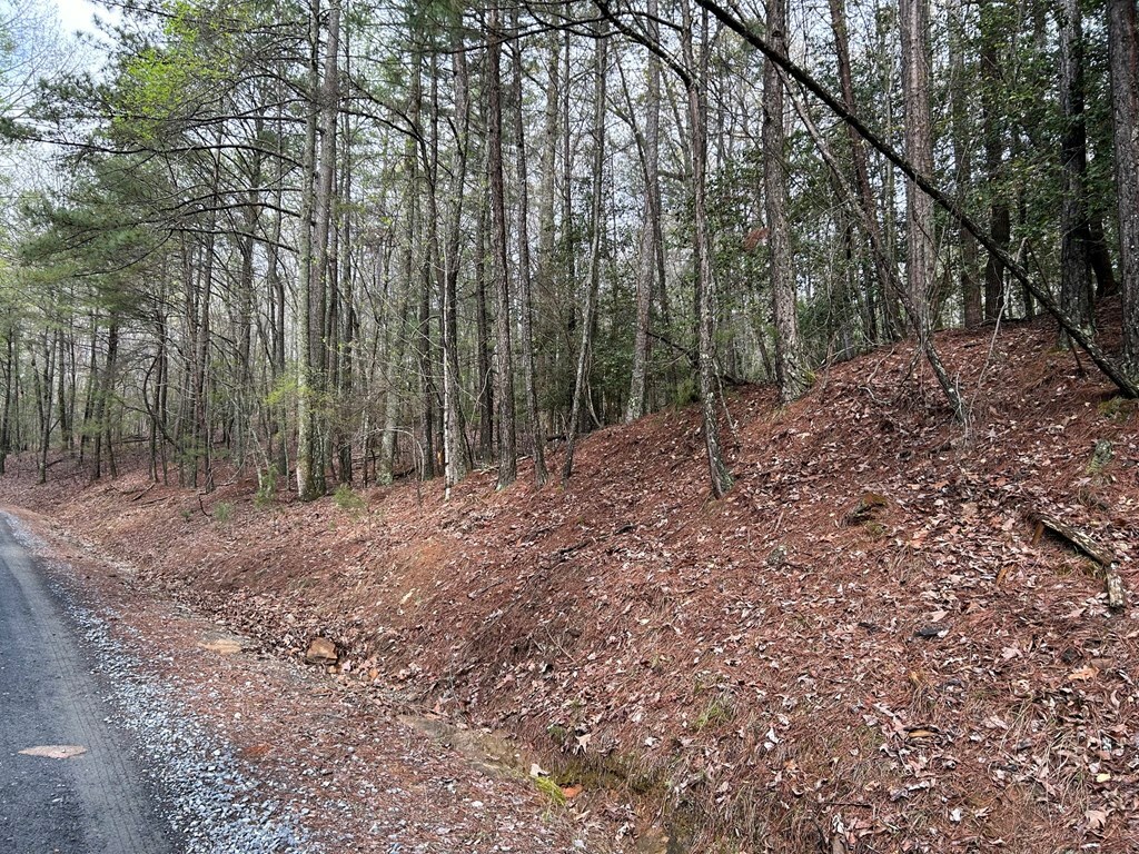 Property Photo:  Lt2788 Medina Court  GA 30540 